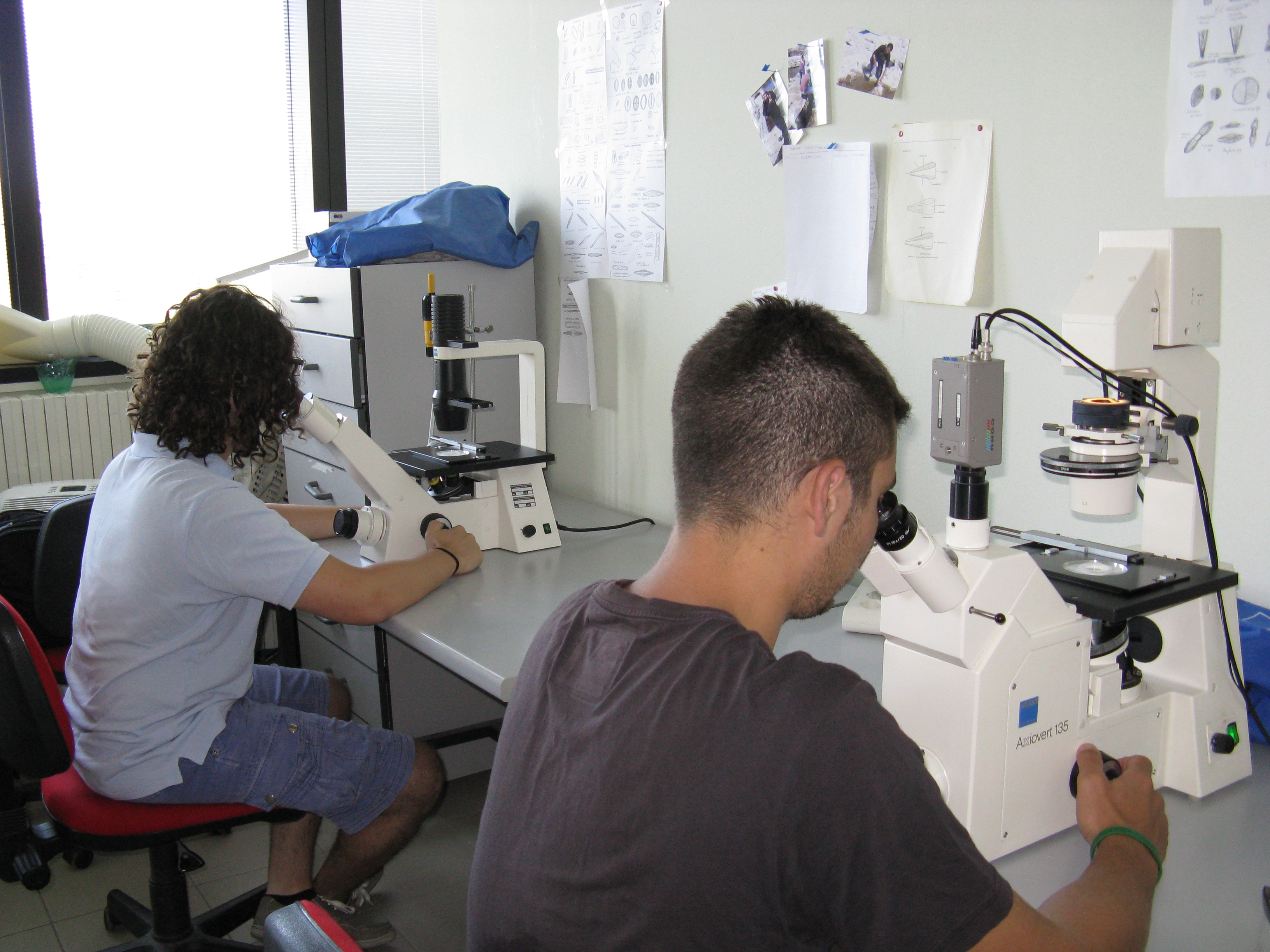 studenti in laboratorio